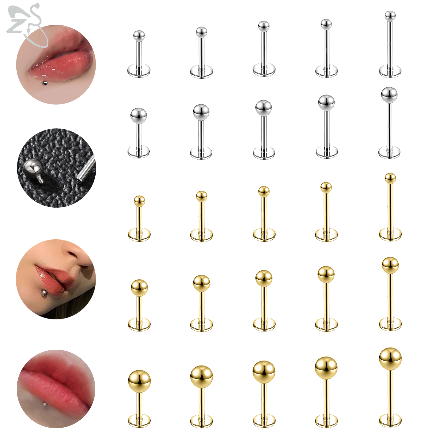 Zs Body Jewelry - ZS 10Pcs/lot 16G/18G Stainless Steel Labret