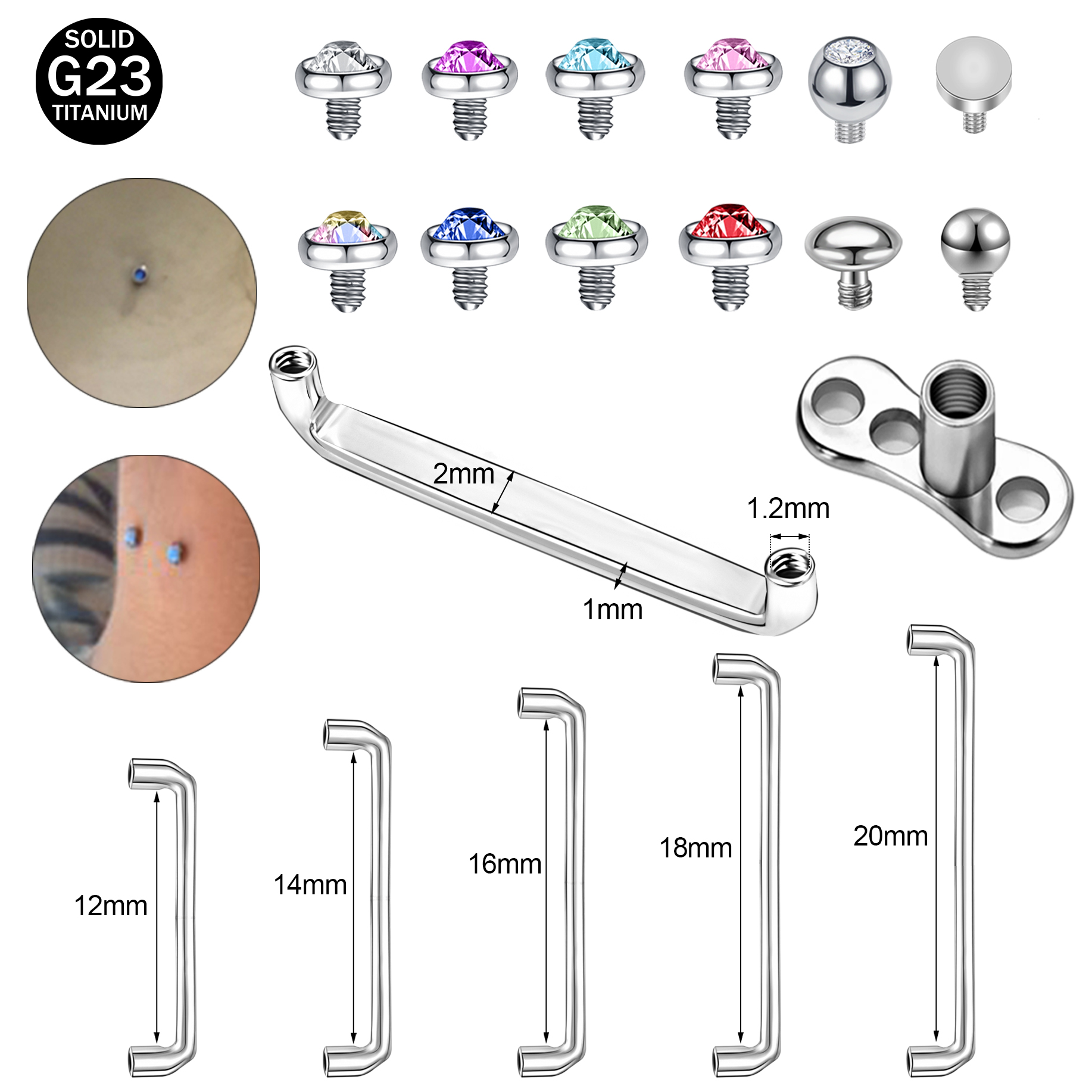 Zs Body Jewelry - ZS 1PC 16G G23 Titanium Vertical