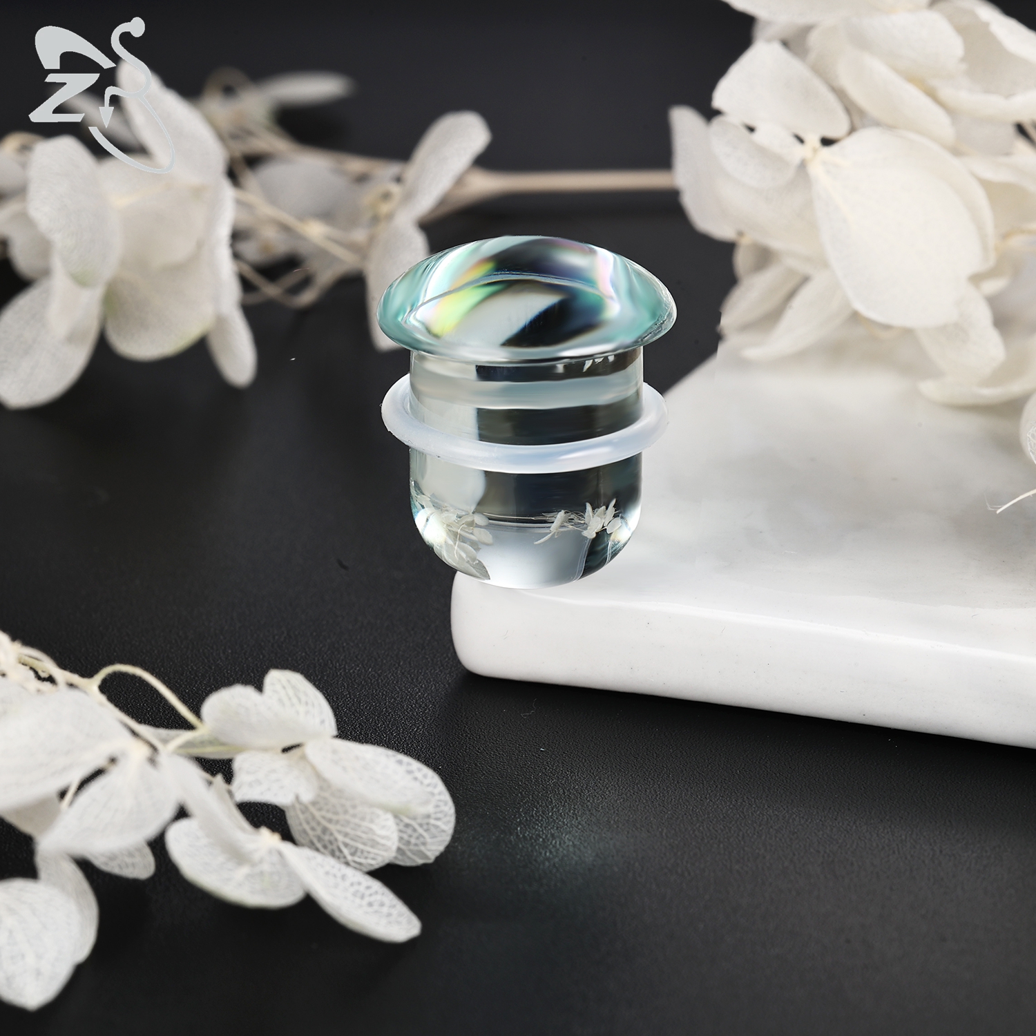 ZS 1PC Black Glass Ear Plug An - Zs Body Jewelry recension och pris