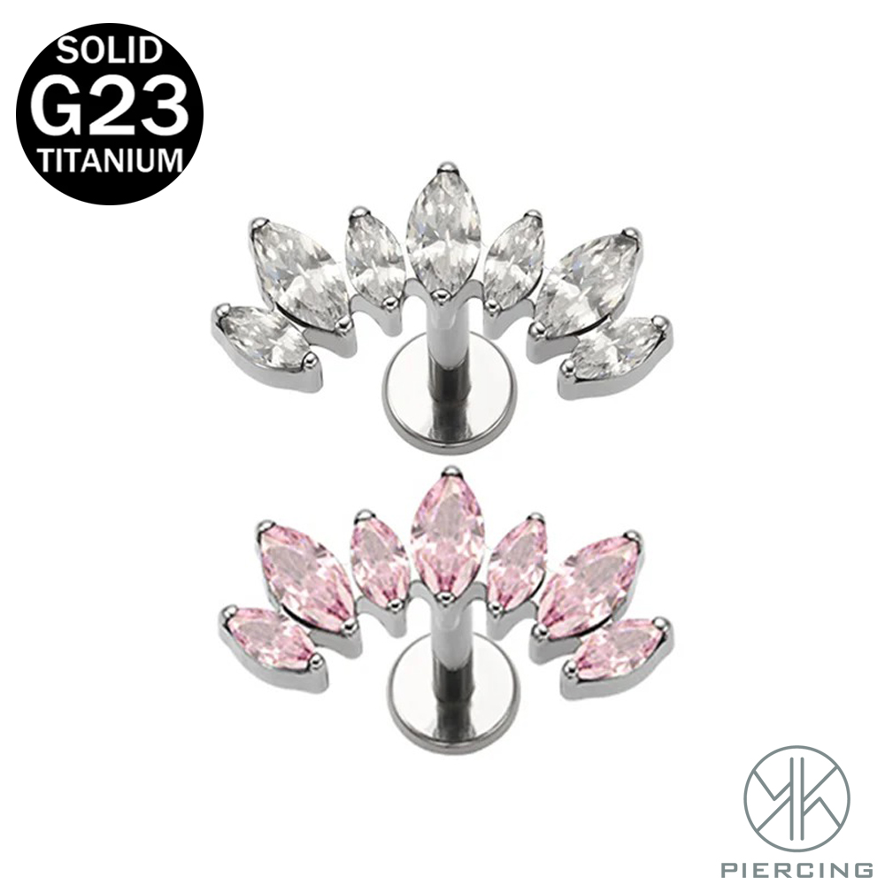 16G 18G F136 Titanium Brand Ne - Body Jewelry Brands recension och pris
